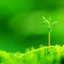 욕망으로부터 이미지