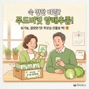 푸드버킷 | 속 쓰린 날은 이제 안녕! 푸드버킷 유기농 양배추즙, 솔직 후기 어버이날 선물 추천 직장인 위경련 식도염