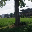 녹지여관 이미지