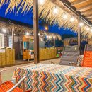 야자수 펜션 민박 이미지