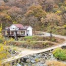 시내산펜션 이미지