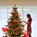 손플라워카페 이미지