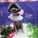 남동대로 이미지