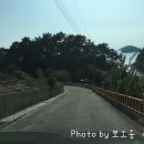쉐이리코타키나 네이버블로그