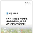 빈야드안경 네이버블로그