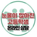 [온라인상담: 눈물이 많아진 고등학생] 한국아동청소년심리상담센터 이미지