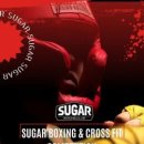 제로복싱 이미지