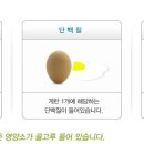(주) 엔슈어 네이버블로그