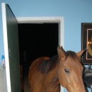 마음은 소녀 이미지