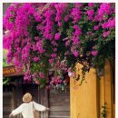 뷰티호텔 이미지