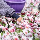 백양산 양묘장 이미지