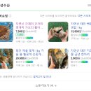 황성횟집