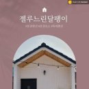 젤루느린달팽이 이미지