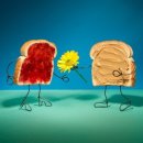 테리보더의 먹고+즐기고+ 사랑하라 이미지