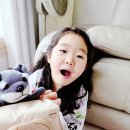육아 필수템 가성비 대용량 물티슈 아기물티슈 베베드 추천