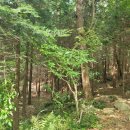 토영이야~길(2코스-미륵도길) 이미지