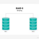 RAID 네이버블로그