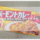 오늘카레 | 아이도 먹기 좋은 일본 카레 하우스 바몬드 카레 내돈내먹 솔직 후기!