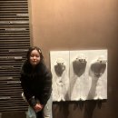 아이러브도그 | 상하이 양꼬치집 스윗중남오빠랑 6박7일동안 썸타고온썰