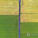 맨드라미농장 이미지