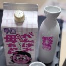 도쿠리 | 간바레 오까상🎀 사케&amp;도쿠리잔 세트 구매후기.