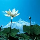 대구가톨릭대학교 디자인대학원 이미지