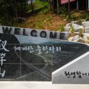 매미터 이미지