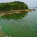 낙동강물환경연구소 이미지