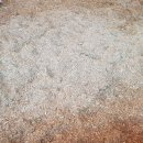 돼지농장 이미지