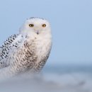 더하얀세상 이미지