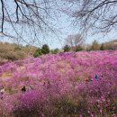 동산건재
