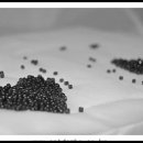 가평핀란드하우스 이미지