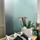 성남보조기센터 이미지