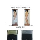 국제척추교정학회
