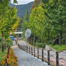 서촌초교 병설유치원 이미지