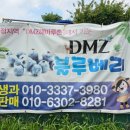 은자농장 이미지