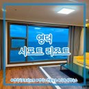 궁무인호텔 | 영덕) 시포트리조트 ⎮ 가족여행 오션뷰 숙소 추천 패밀리A 402호 내돈내산 솔직후기