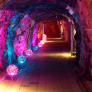 대항항관광체험장 이미지