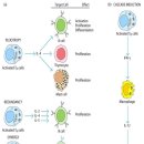 원당경희한의원 이미지