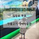 양평 아이랑 실내 가볼만한곳 | 민물고기생태학습관 무료 후기