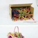 공구조아 Daum카페