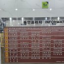 금침한의원 | 안양 성인여드름 치료 범계 한의원에서 여드름자국 제거를 위한 금침 시술 후기