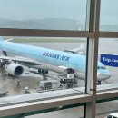 얼리벅스 | 후쿠오카 여행 Ep2. 더 블라썸 하카타 프리미어 숙박후기 후쿠오카 호텔추천