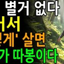 80부터 이렇게 살면 마음이 편안하다ㅣ 90살이 알려주는 인생의 진실 7가지ㅣ노년지혜 이미지