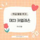 카멜레온 | [남중 학급활동]메챠 카멜레온 후기