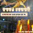 광명동굴 (라스코전시관) | 광명동굴 공룡탐험전 라스코전시관 다자녀 할인 주차