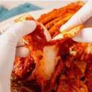 전라도김치 이미지