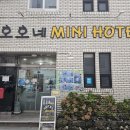 호호네미니호텔 | 가성비 최고 제주시 숙소 호호네미니호텔 제주도 뚜벅이 혼자 여행