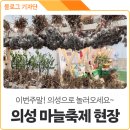 경북 대표 가을 행사, 의성 슈퍼푸드 마늘축제 둘러본 후기. 주말 가볼만한 곳