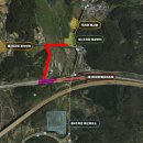 2024 대청호 벚꽃길 마라톤 대회 | 2024 대청호 벚꽃길 마라톤 대회 10k 후기